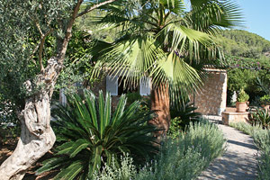 Der schön angelegte Garten mit vielen mediterranen Pflanzen.