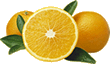 Orangen